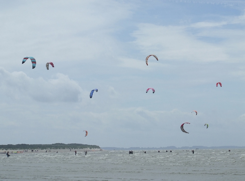 Searching the Wind.JPG